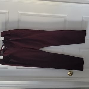 NWT Sonoma Skinny Jeans
